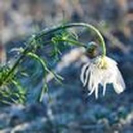 14 Clever New Uses for Old Newspapers