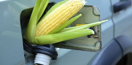The Real Reason We Have Ethanol in Our Gas