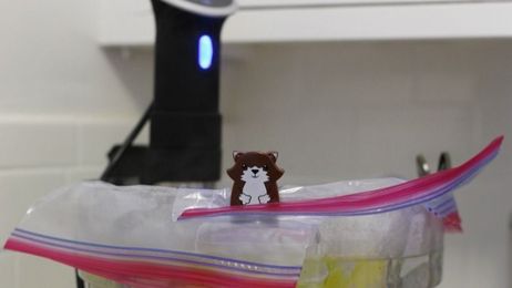 Will It Sous Vide? Let's Pick Another Topic!