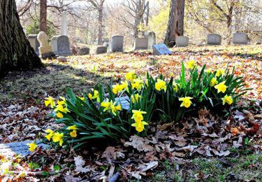 3 Tips for a Personalized Funeral