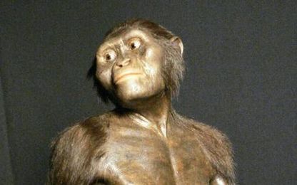 Our ancient relative Lucy spent more time in trees than previously thought