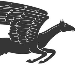 The Man Who Gave Birth to a Panda by Idra Novey