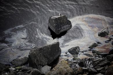 Eco-friendly nanomembrane removes oil spills