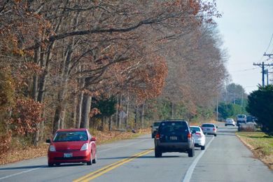 Arbor-Lyn approved but density is cut