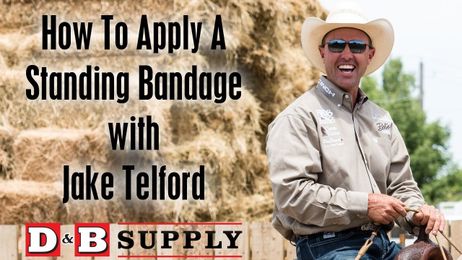 How to Apply a Standing Bandage with Jake Telford