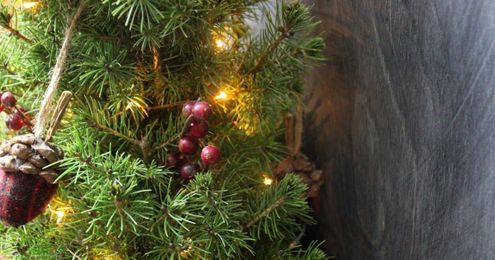 Need a Simple, Beautiful Holiday? Jackson & Perkins for Your Holiday Tree