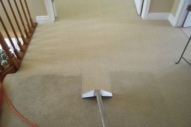 The Pros, Cons & Costs of Carpet Cleaning Services