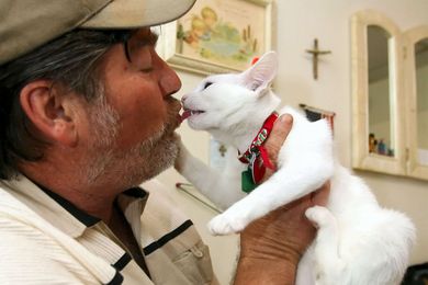 Why Cats Poop on Your Bed and Other Odd Pet Behaviors