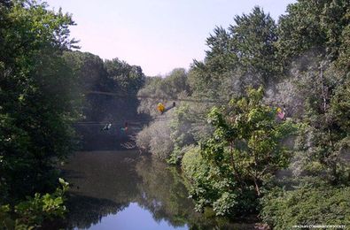 You'll Soon Be Able to Zip Line at the Bronx Zoo