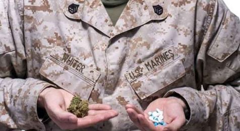 Grow For Vets: Natural, Safe Medicine For Our American Heroes!