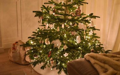 9 Ways to Make Your Christmas Tree Live On