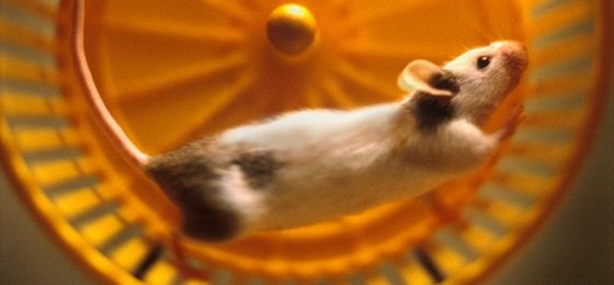 A Wise Man Once Told Me Performance Evaluations Are Stupid. He Was Right.