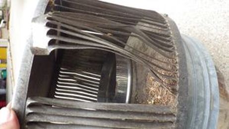 Birds and Animals in Chimney