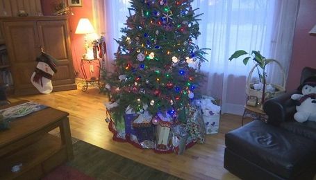 What To Do Next With Your Christmas Tree