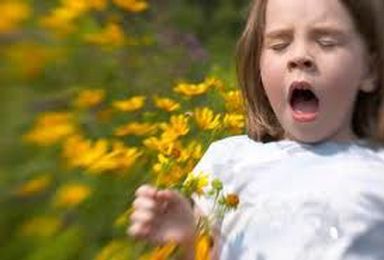 Hay Fever and Chiropractic Benefits