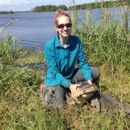 Study shows Savannah area alligators get around