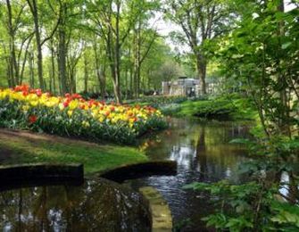 New Ideas for Low-Impact Development