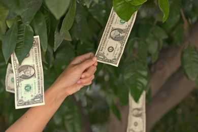 The truth behind 13 money myths that could derail your finances