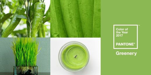 Finding Nature: Using Greenery As A Neutral Color