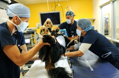 Candy maker Mars is buying L.A. animal hospital chain VCA for $7.7 billion