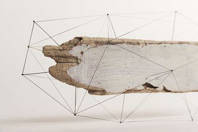 studio note frame driftwood + flowers in polygonal skeletons