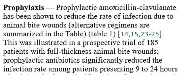 My Cat Taught me about Doctors and Protocols