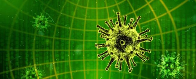 The 7 Types of Computer Viruses to Watch Out For and What They Do