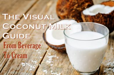 What is Coconut Milk? The Useful Guide from Beverage to Cream