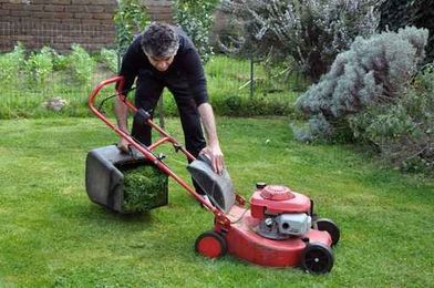 4 Good Reasons To Hire A Lawn Care Company