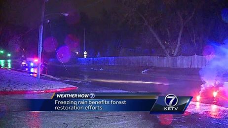 Freezing rain benefits forest restoration efforts