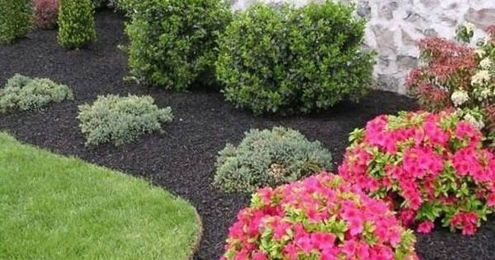13 Tips For Landscaping On A Budget