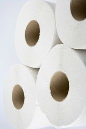 Toilet Paper Advice for Septic Tanks