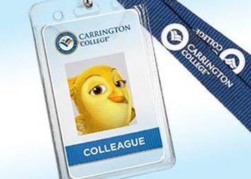 Top 5 "Need-to-Know" Tips from a Veterinary Assisting MVP