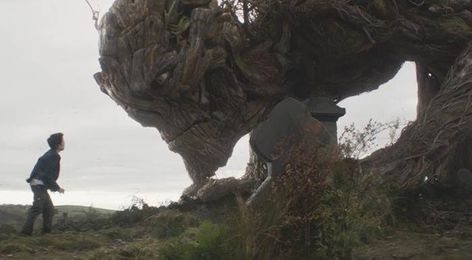 When Trees Fight Back: 9 Sentient Trees from Fiction