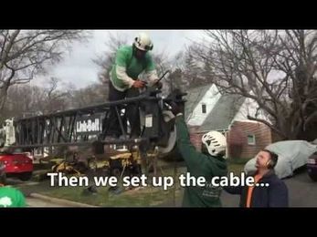 90 ton crane takes out 2 massive oak trees!