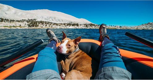 7 Ways Your Pup Makes You a Healthier, Happier Human — POPSUGAR