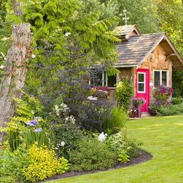 5 Things You Can Do Immediately to Have the Perfect Spring Garden