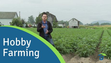 Farm Insurance: What You Need to Know