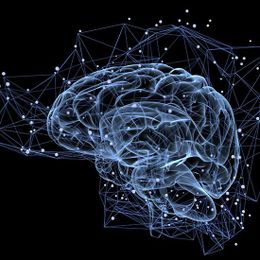 Use Your Attention Wisely