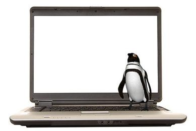 When Public Libraries Are an On-Ramp to Open Source