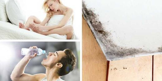 Toxic mold exposure: 17 signs that you have it (and how you can recover)
