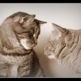 Keys to Successful Craft Brewery-Distributor Relationships