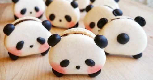 Panda Macarons Are A Thing And They’re Too Cute To Eat
