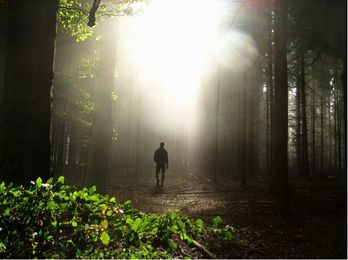 Testosterone’s surprising affects on men over 40