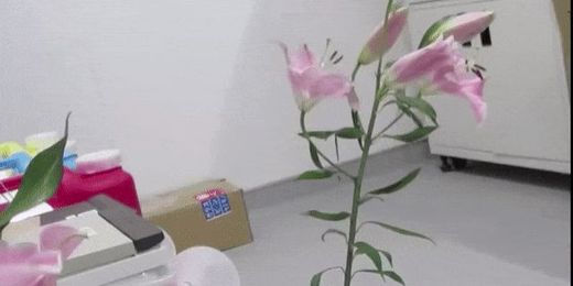 These Hairy Little Drones Are Functional Robot Bees