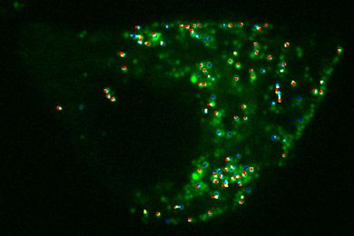 New method improves accuracy of imaging systems
