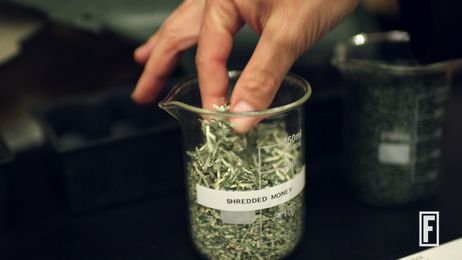 Why Ford Makes Car Parts Out of Tomatoes and Shredded Cash