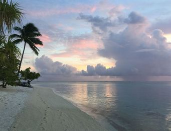 Ask Jean: Vacation Oils?