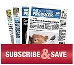 Start hog housing transition at ground level, says expert