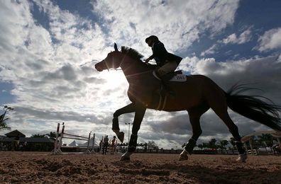 5 things that define Wellington